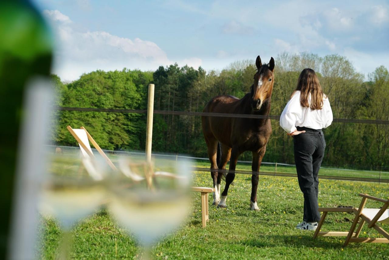 Tiny House Centre Equestre - 35 Mins De Paris Villa Chambly Eksteriør billede